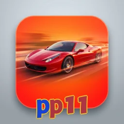 pp11